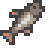 Chub from Stardew Valley