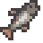 Chub - Stardew Valley fish